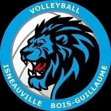 Logo Volley Isneauville Bois-Guillaume